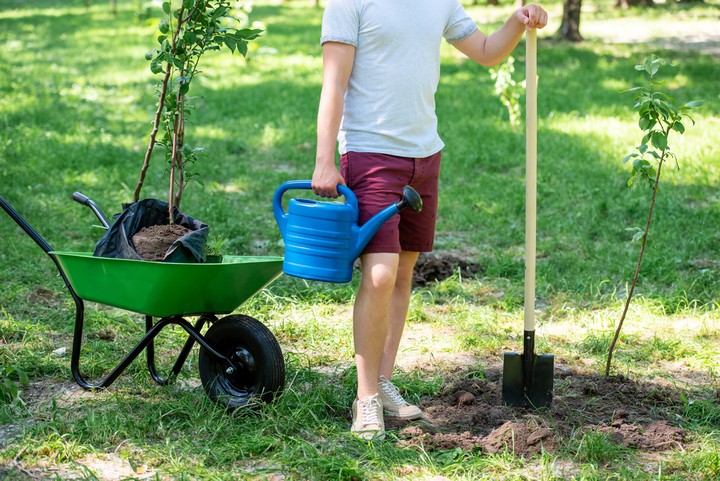 NOva zahrada - sadenie